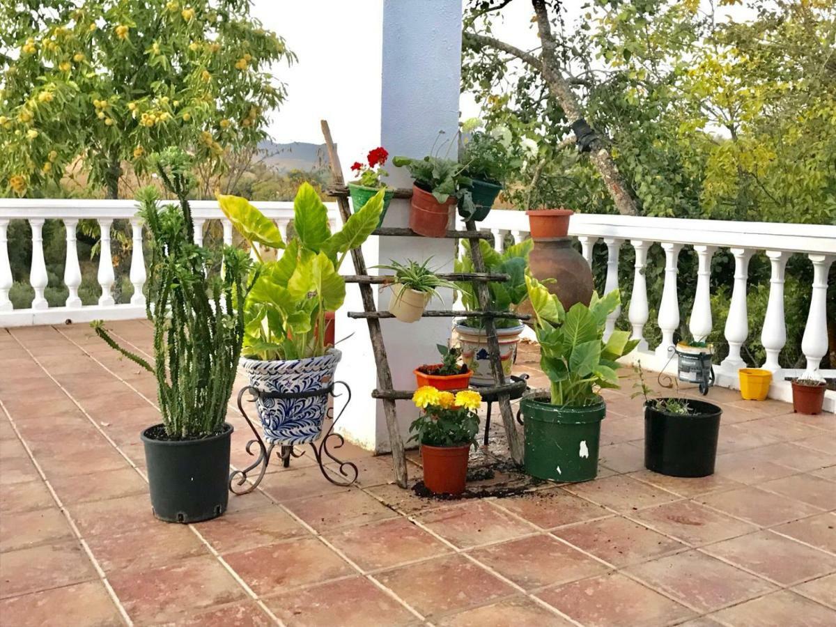 Casa Rural En 孔斯坦蒂纳 外观 照片